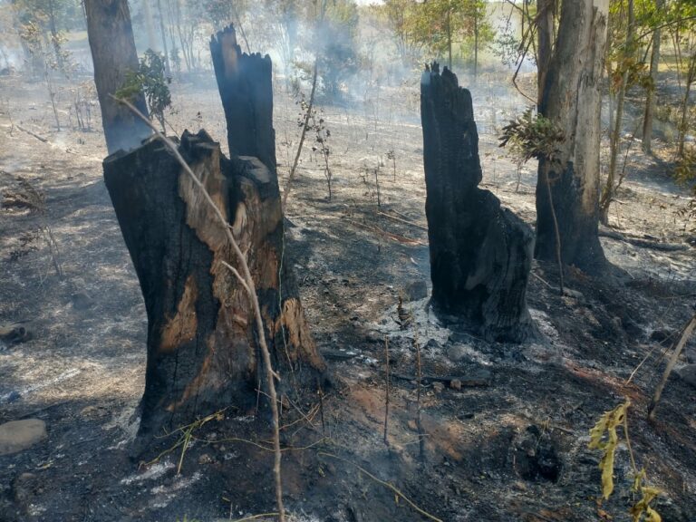 Bombeiros combatem fogo em mato no interior de Venâncio Aires