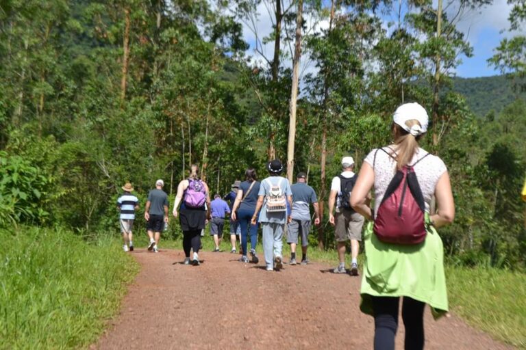 1ª Agrofeira e Lançamento da Colheita da Pitaya terá caminhada de dez quilômetros em Sério