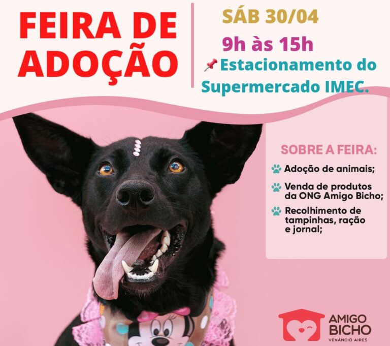 Movimento do Bem: Imec Supermercados retoma feiras de adoção de pets