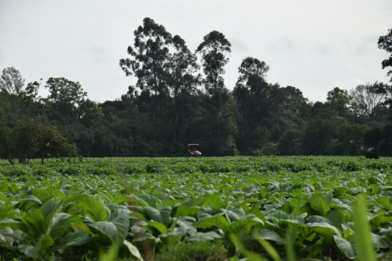Agricultura de Venâncio é contemplada com quase R$ 134 mil em programas do RS