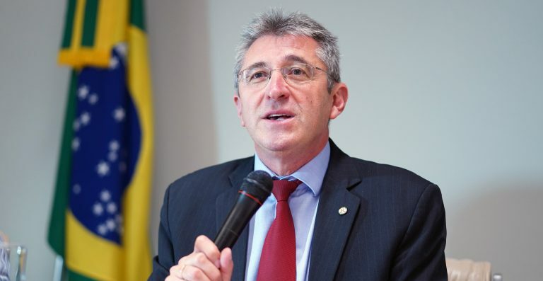 Avança no Congresso projeto que proíbe o corte de árvores produtoras de sementes de erva-mate
