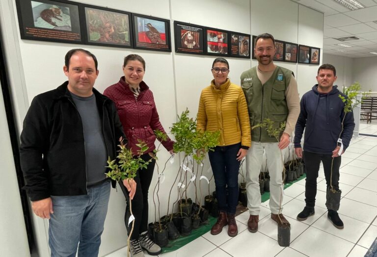 Prefeitura de Venâncio distribui mudas de árvores nativas durante a Semana do Meio Ambiente