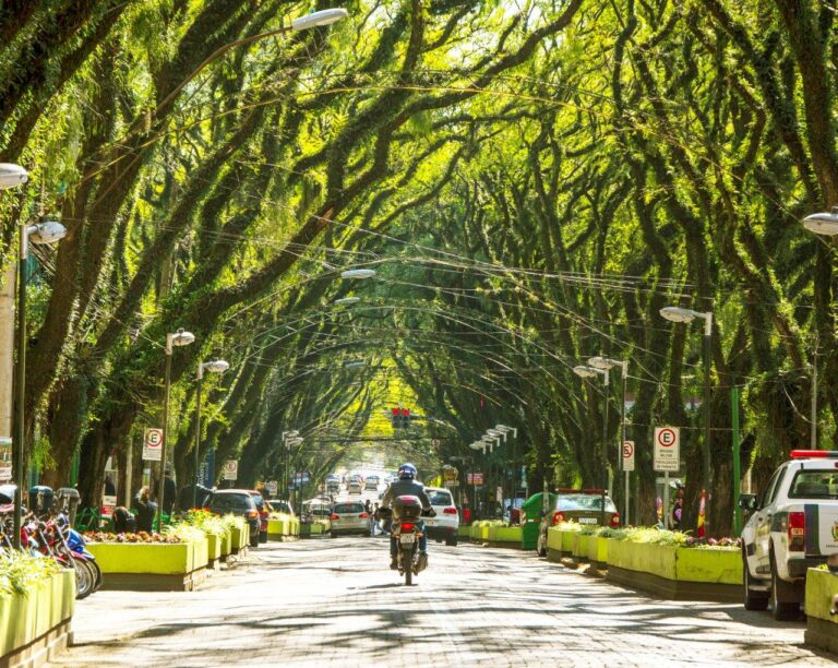 Santa Cruz do Sul irá ampliar Túnel Verde no Centro