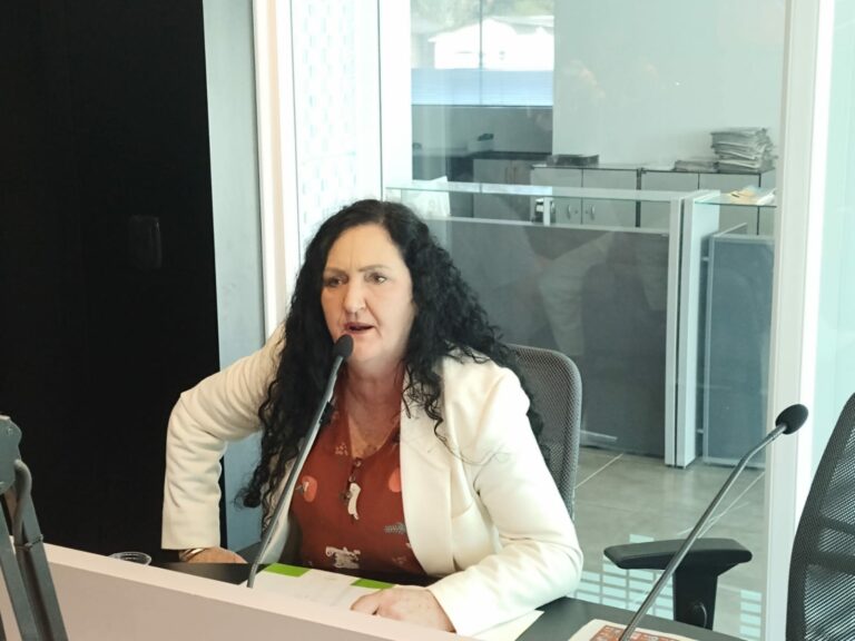 Silvia Schirmann quer ser deputada federal para destinar mais recursos para a Educação e Saúde