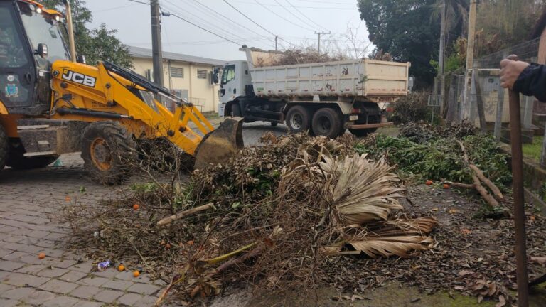 Em média 80 galhos por mês são recolhidos pela limpeza urbana, em Venâncio