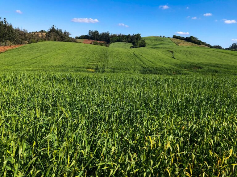 Agricultores de Venâncio Aires podem se habilitar ao Promagro