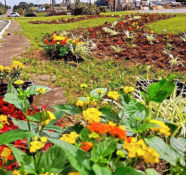 Aquisição de flores deve embelezar os espaços públicos de Venâncio Aires
