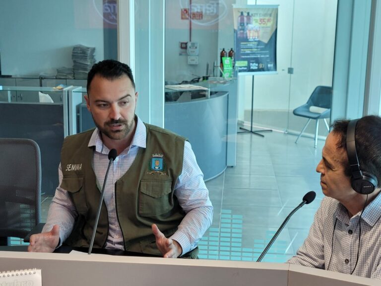 Prefeitura fortalece o recolhimento resíduos resultante das podas de árvores na cidade