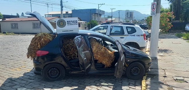 BM recupera fardos de fumo e prende autor de furto em Candelária