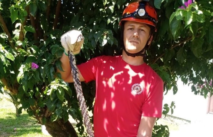 Bombeiros retiram cobra em guarda-roupas