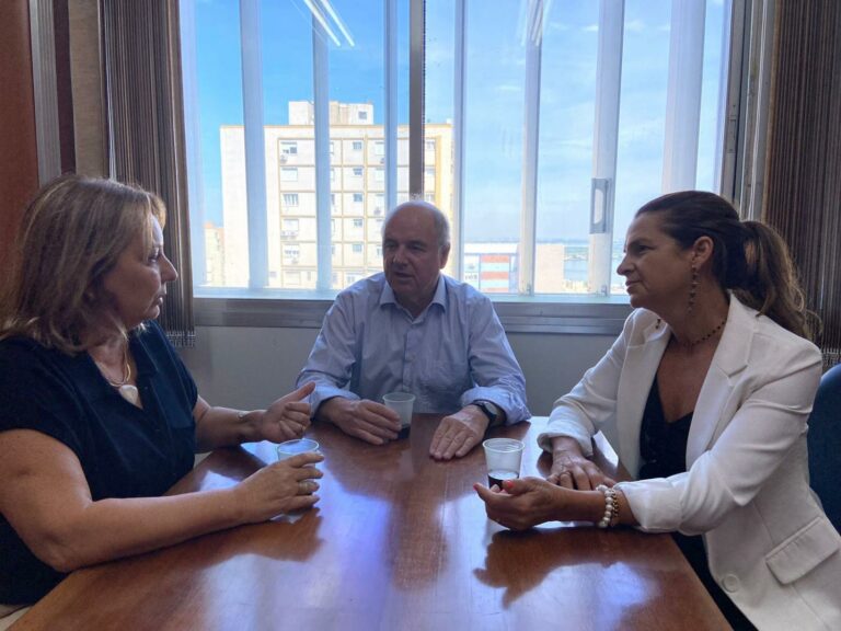 Vereadoras Ana Cláudia e Luciana Scheibler visitam deputado Airton Artus 