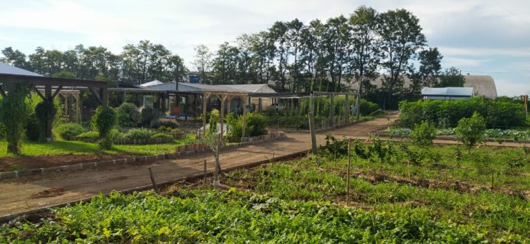 Casa da Emater traz novidades para Expoagro; espaço recebe os últimos retoques