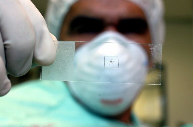 Município da região tem maior números de casos de dengue do RS