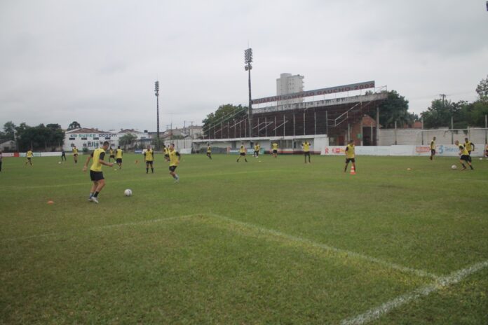 Foto: Leonardo Pereira/Folha do Mate