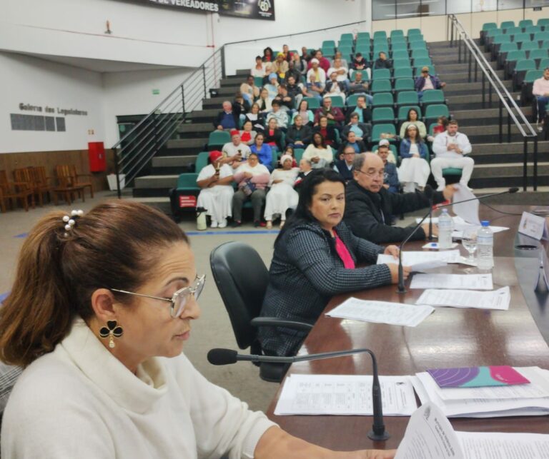Câmara de Vereadores autoriza contratações temporárias e criações de dois novos conselhos municipais