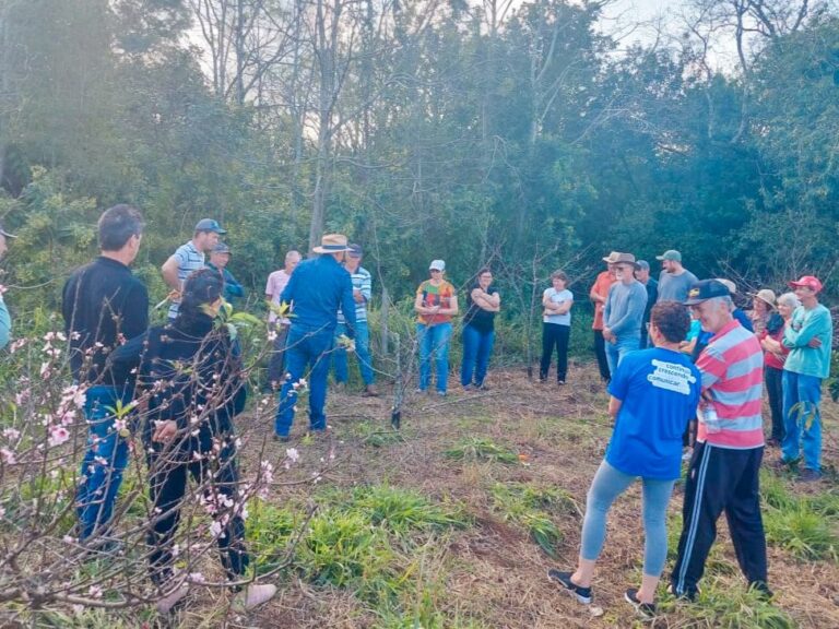 Poda de pomar comercial é tema de tarde de campo na próxima semana