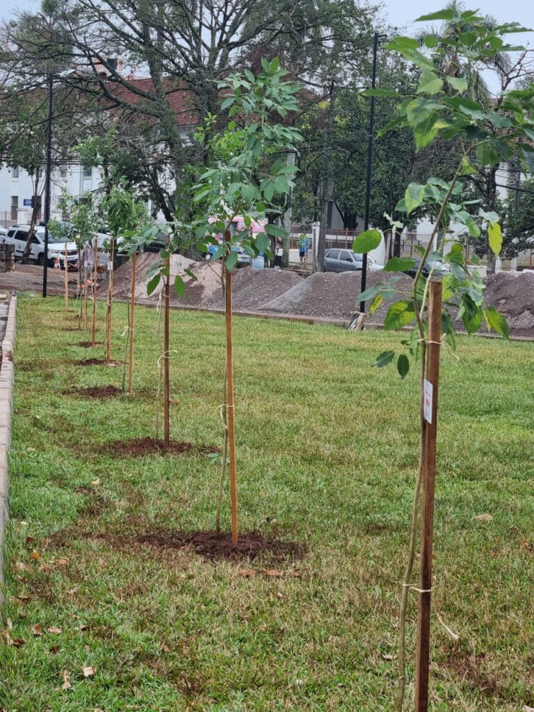 Programa Arborização + Segura retorna a Venâncio Aires
